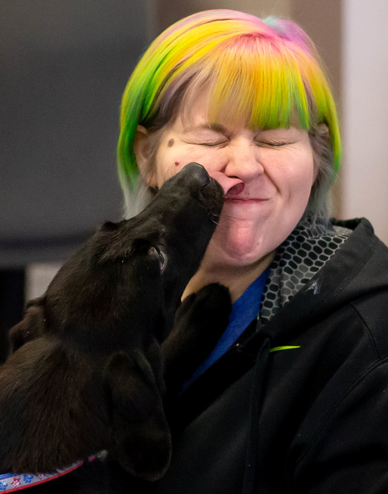 SIT Service Dogs delivers piggy and puppy "grams" for Valentines Day